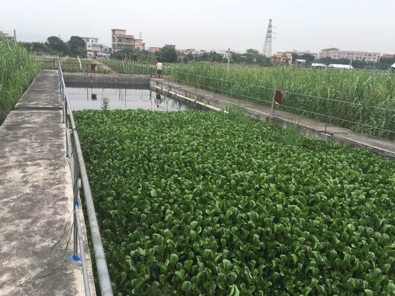 農(nóng)村污水運(yùn)行